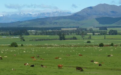 Five Investment Vehicles Changing the Way We Invest in Agriculture