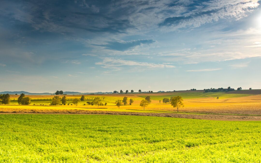 First Speakers Announced for Regenerative Food Systems Investment Forum