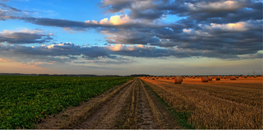 Farmland and Climate Change: A Mantra for Regenerative Agri Investment Professionals