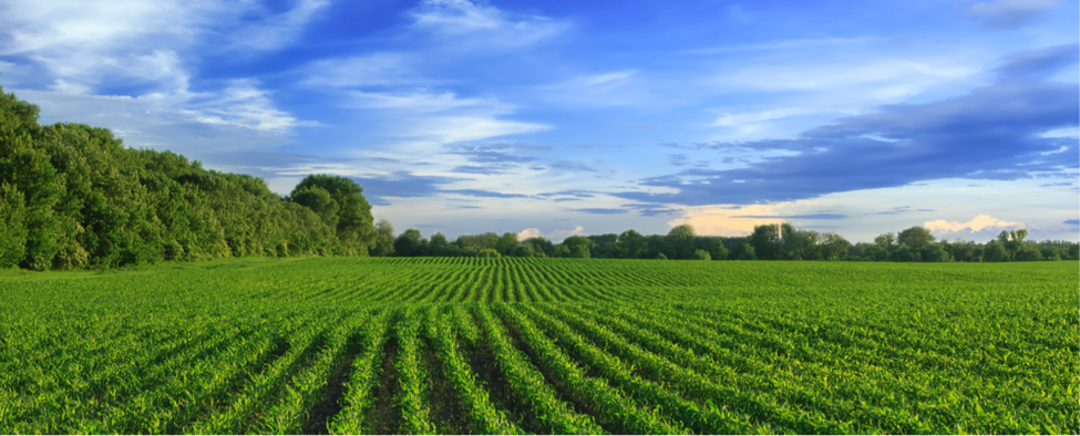 Growing Regenerative Ag One Investment at a Time