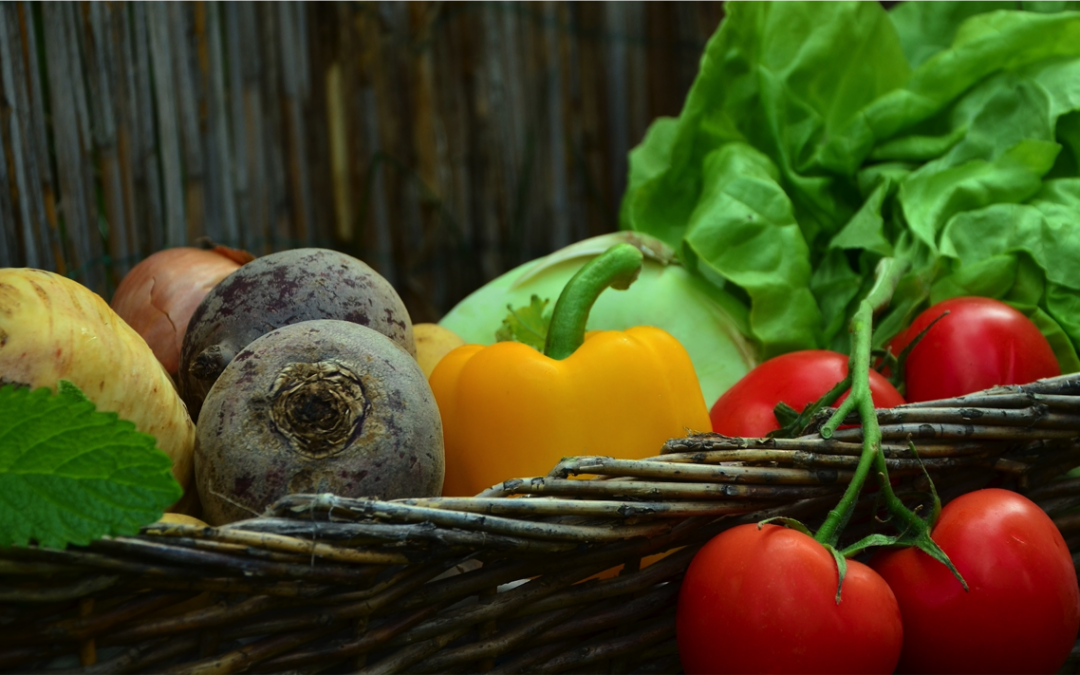 Finding Hope in the World’s Greatest Food Challenges