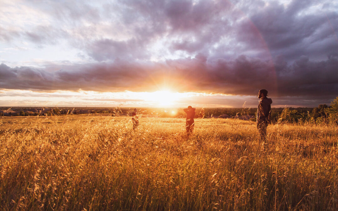 Innovation for Food Systems Impact with Food System 6