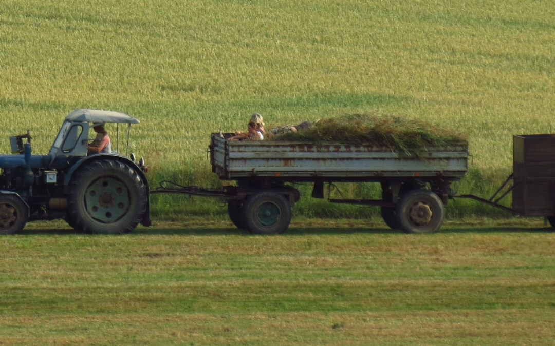Introducing Our 2020 Innovation Partner – Food System 6