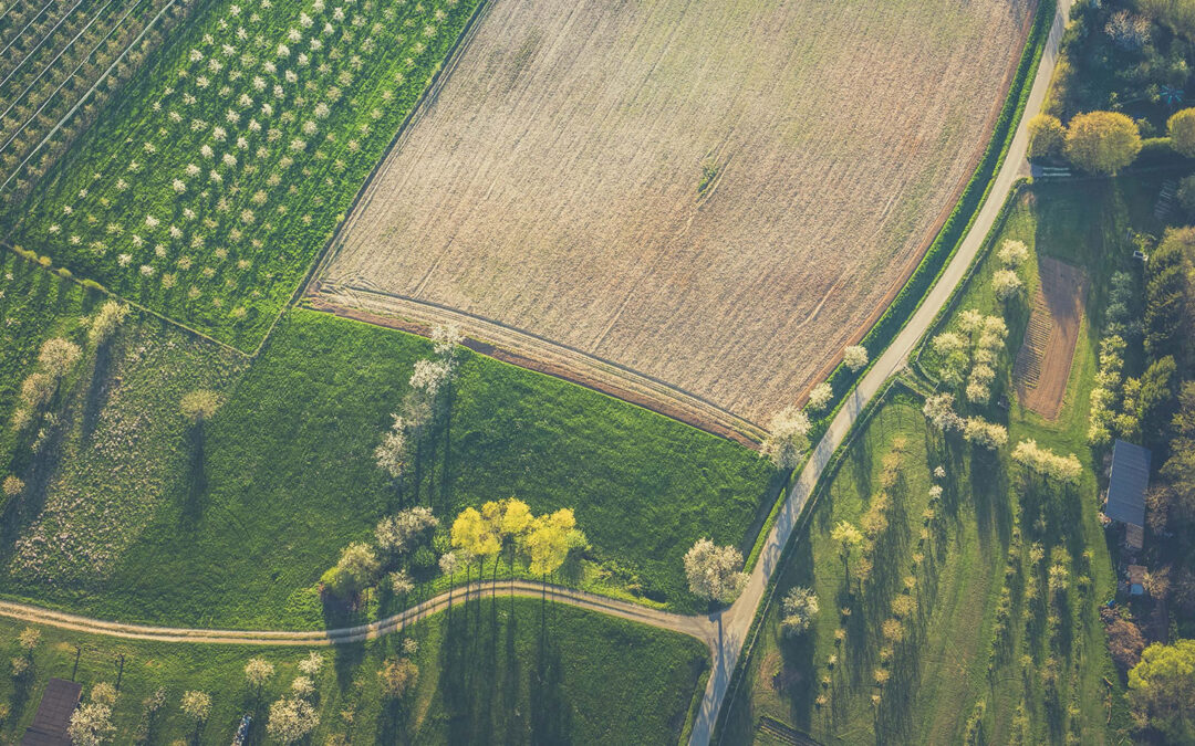 Harvesting Crops, or Harvesting Insurance? How the USDA’s Crop Insurance Policy is Preventing a Regenerative Transition